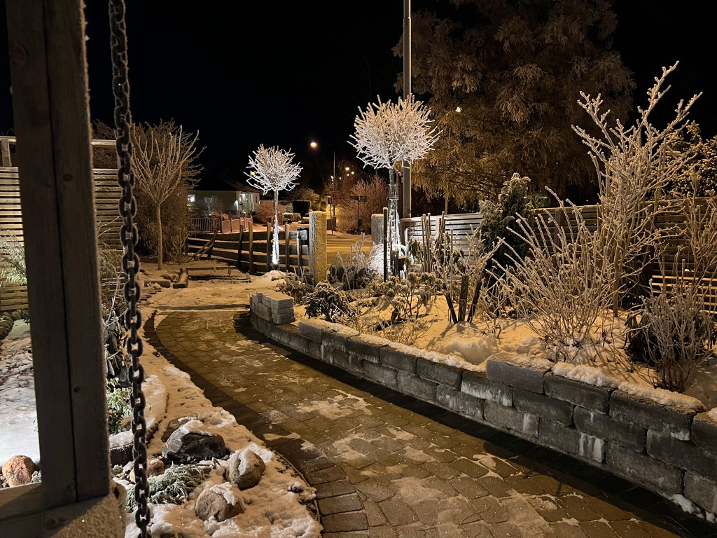 Den vintersköna trädgården